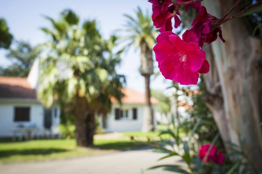 Hotel Le Domaine Du Mas Blanc By Popinns Alénya Exterior foto